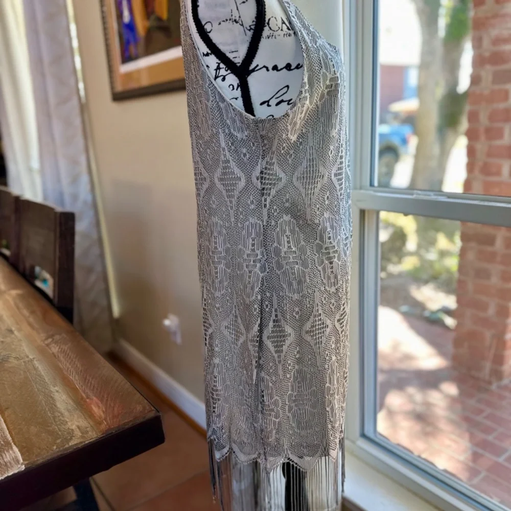 Fully lined Lace & Fringe Dress - Silver - Excellent Condition!! - Picture 14 of 14